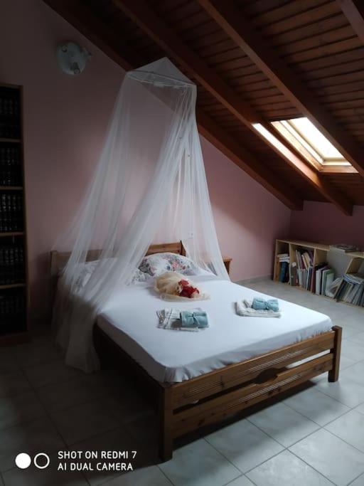 Grecos Apartment Preveza Luaran gambar